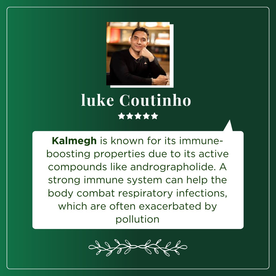 Kalmegh Tablet | Natural Liver Supplement | Liver Detox | Ayurvedic Medicine to Purify Liver  & Rid bad bacteria |  750 mg each tablet (60 tablets): One piece MRP (Inclusive of all taxes):Rs.280/- Net Weight 45gm/